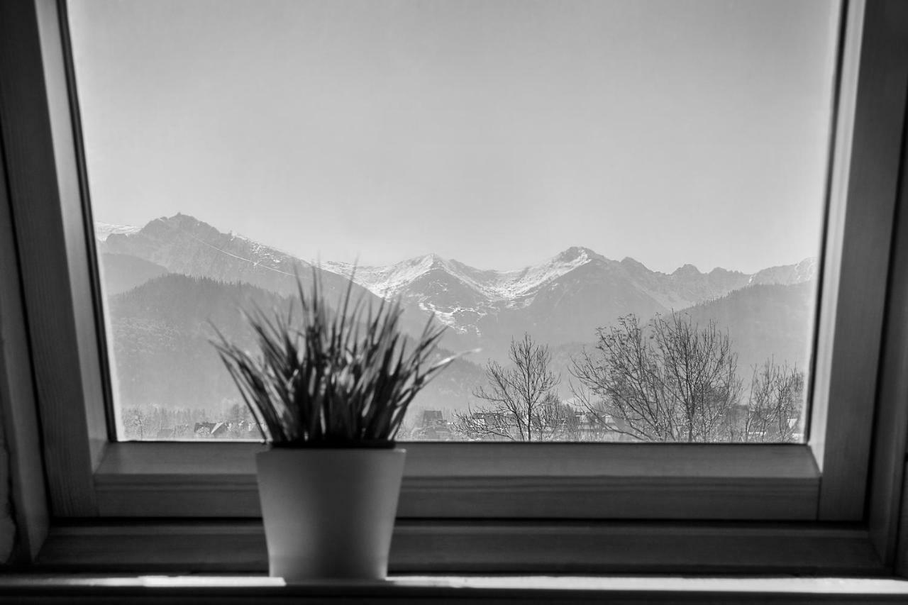 Apartament Olczanka 扎科帕内 外观 照片